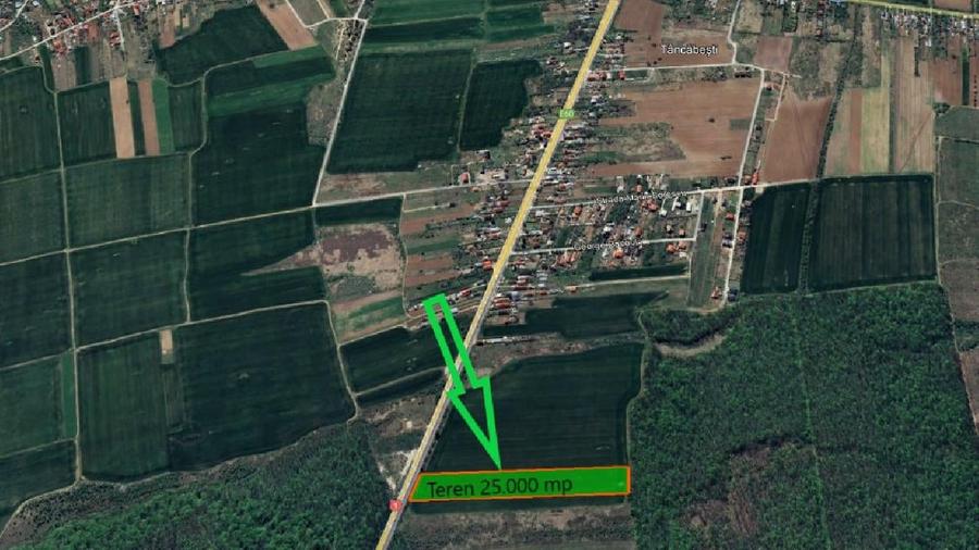 Teren agricol intravilan de 25000 mp, în Ciolpani