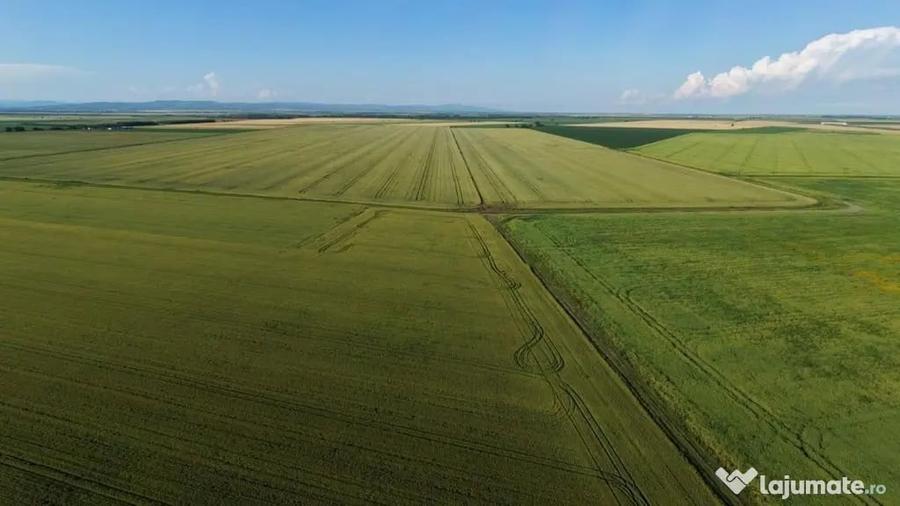 Teren în Dumbrava