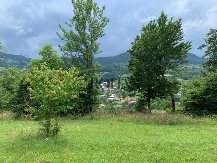 Teren intravilan de 5360 mp, în Tiha Bârgăului