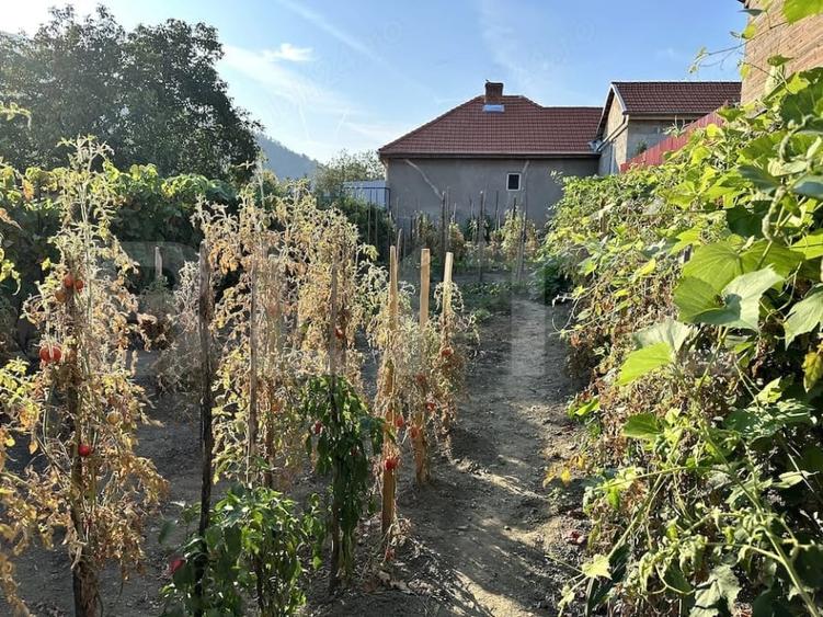Casă individuală cu 2 camere cu Canalizare în Cugir