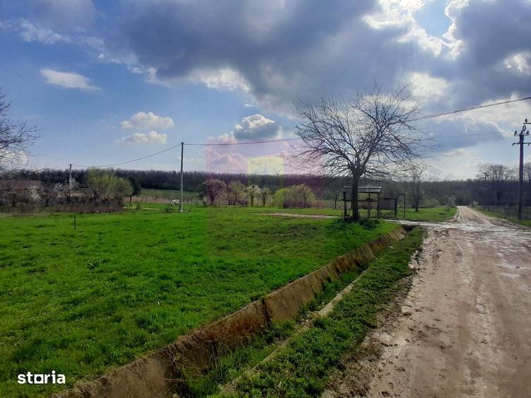 Spațiu comercial, în Buturugeni