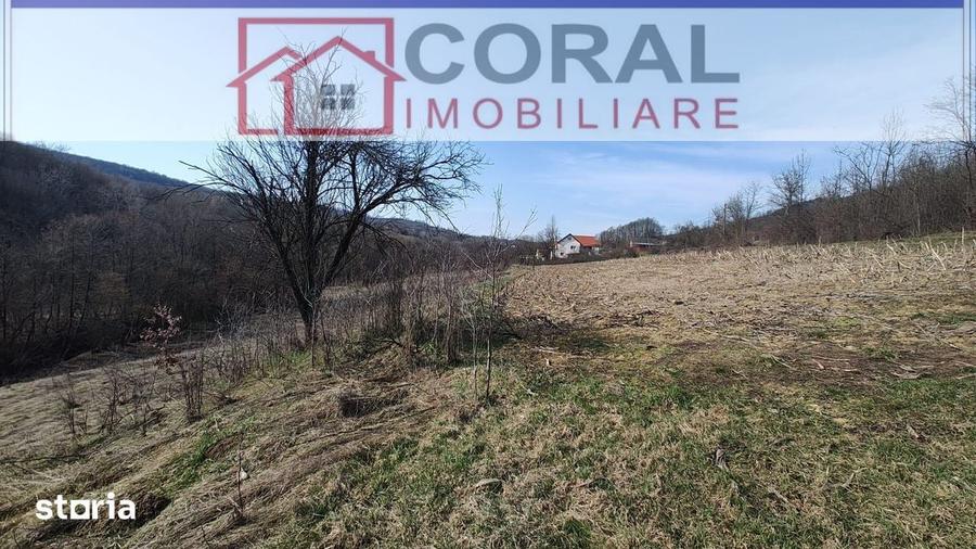 Teren de 5000 mp, în Șoimuș