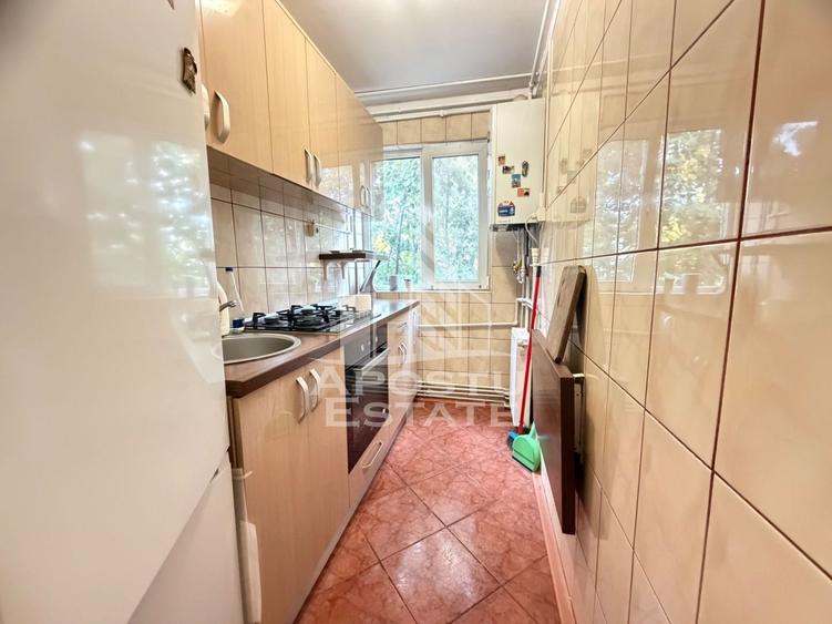 Apartament cu 2 camere, centrala proprie, in zona Cetatii, Timisoara - 4