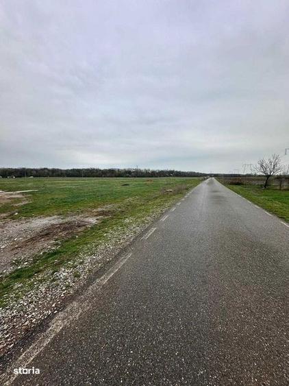 Teren de 5000 mp, în Bănești