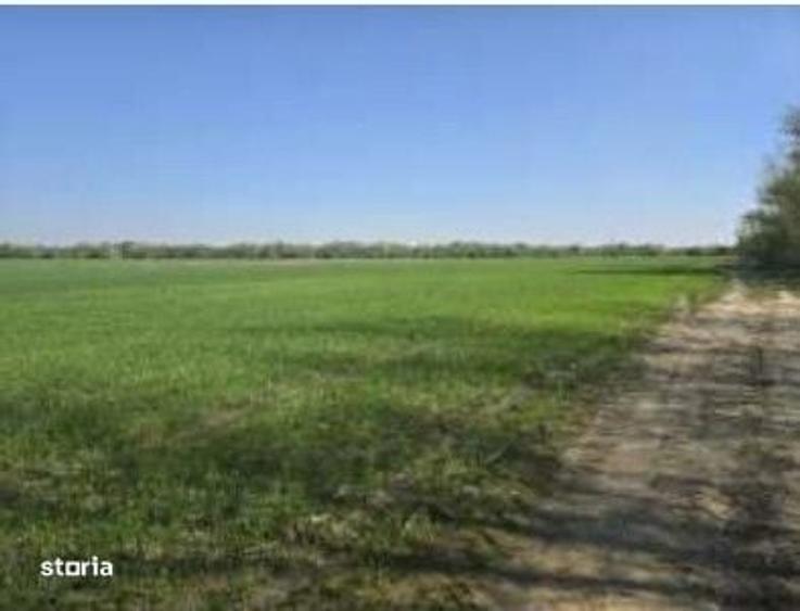 Casa si teren Darasti, ID: R3313254 - 3