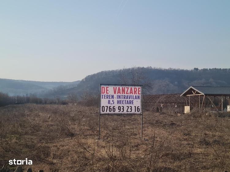 Teren de 86312 mp, în Mărăcineni