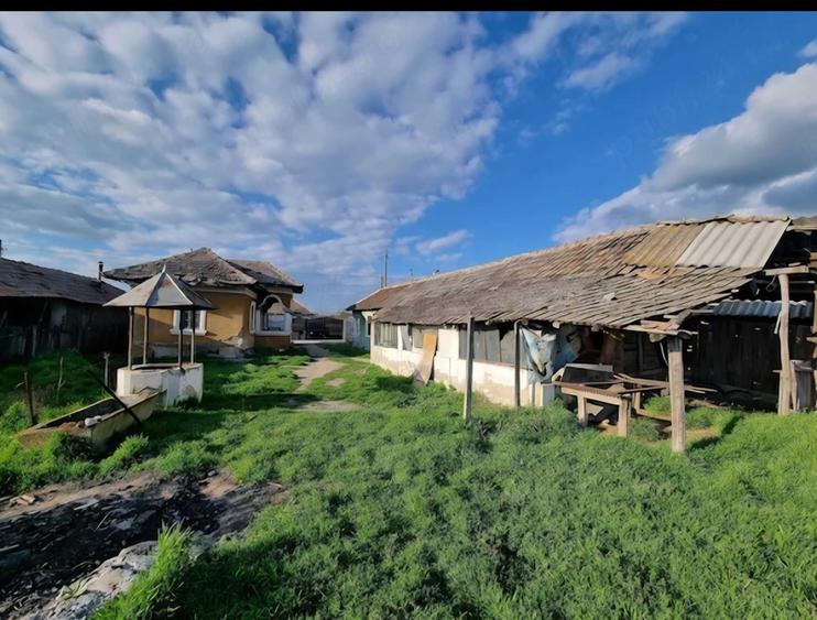 Casă cu 4 camere cu Teren 1111 Mp în Hotărani