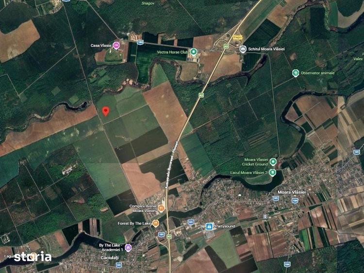 Teren extravilan 7770 mp ~ Snagov ~ Ilfov - 2