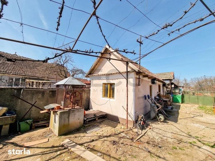 Casă cu 3 camere cu Teren 2230 Mp în Saca