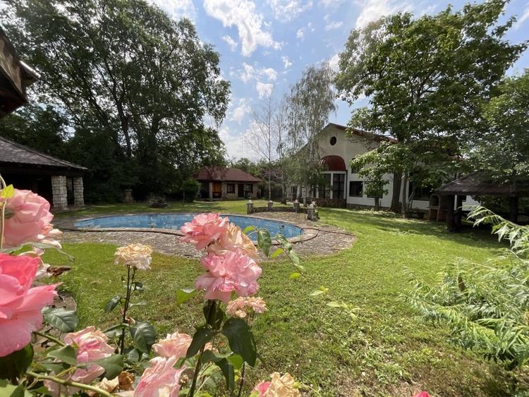 Casă individuală cu 7 camere cu Piscina în Izvorani