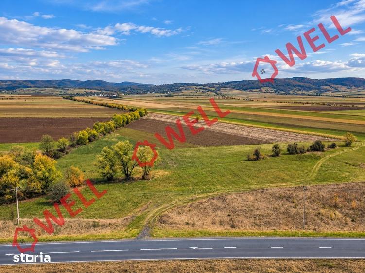 Teren de 11300 mp, în Valea Crișului