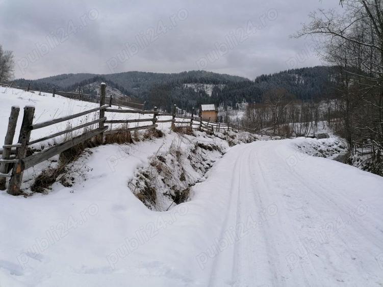 Teren 12.066 mp intravilan de vanzare in Bucovina Comuna Breaza Zona Breaza De sus - 1