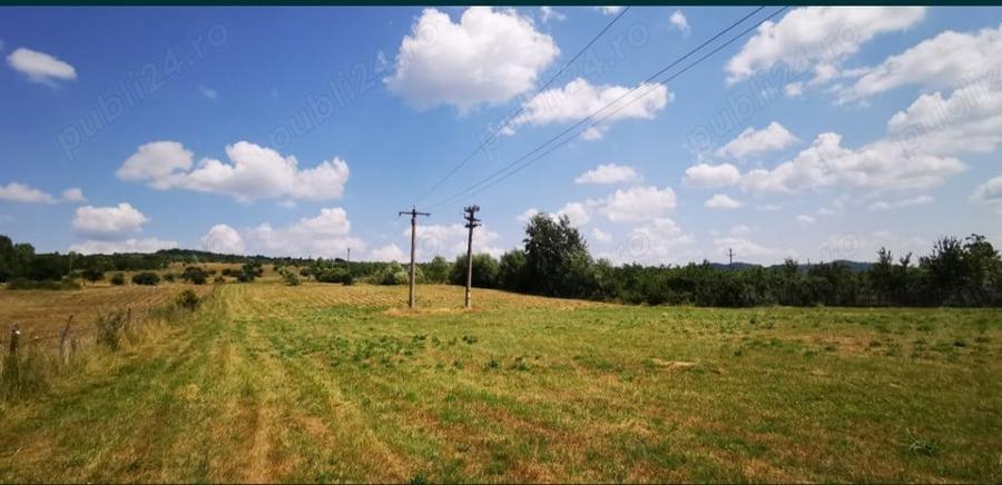 Teren de 18100 mp, în Domnești