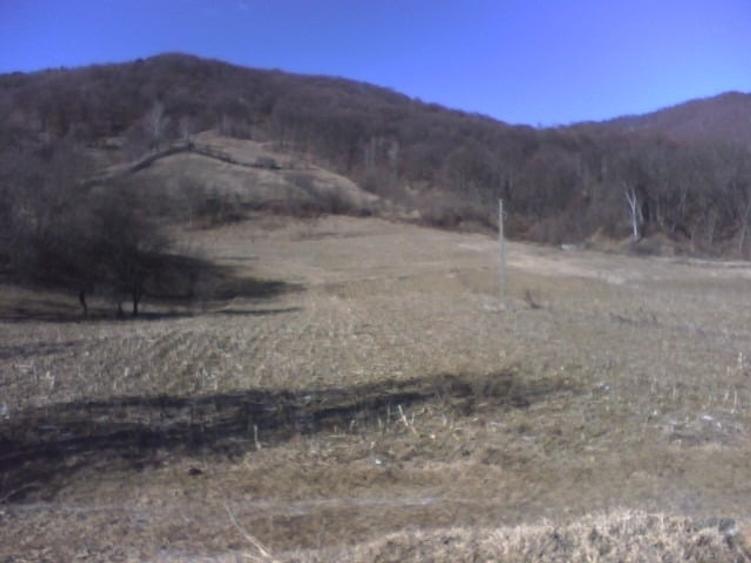Teren Construcții intravilan de 31337 mp, în Posești