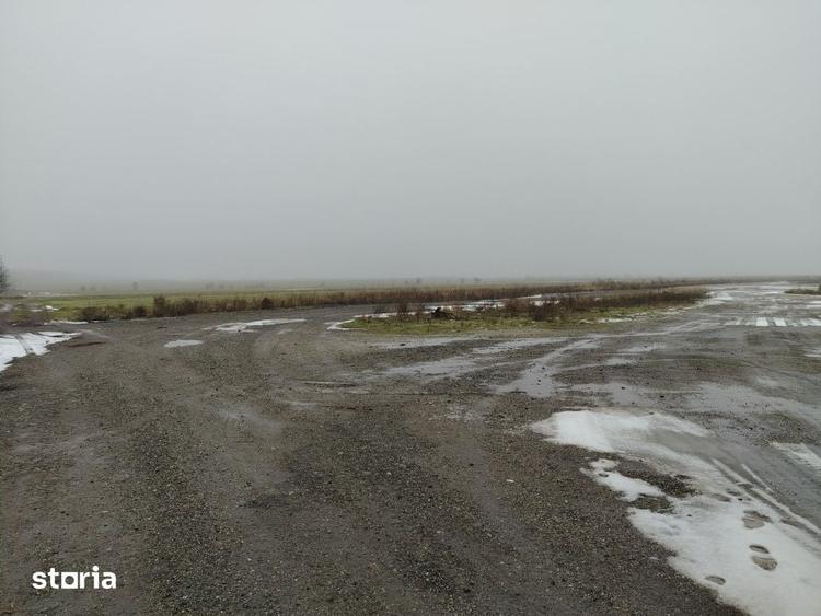 Teren de 1000 mp, în Siloz