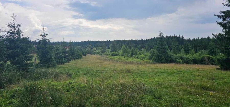 Teren de 3472 mp, în Beliș