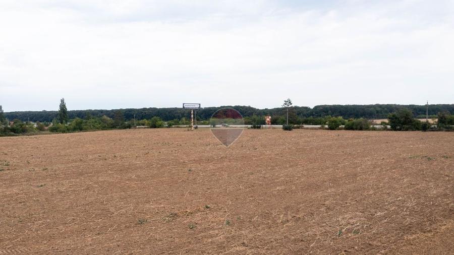 Teren Construcții intravilan de 10000 mp, în Ciolpani