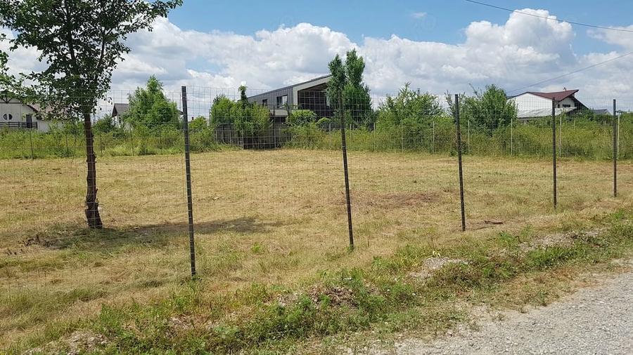Teren de 1365 mp, în Mogoșoaia