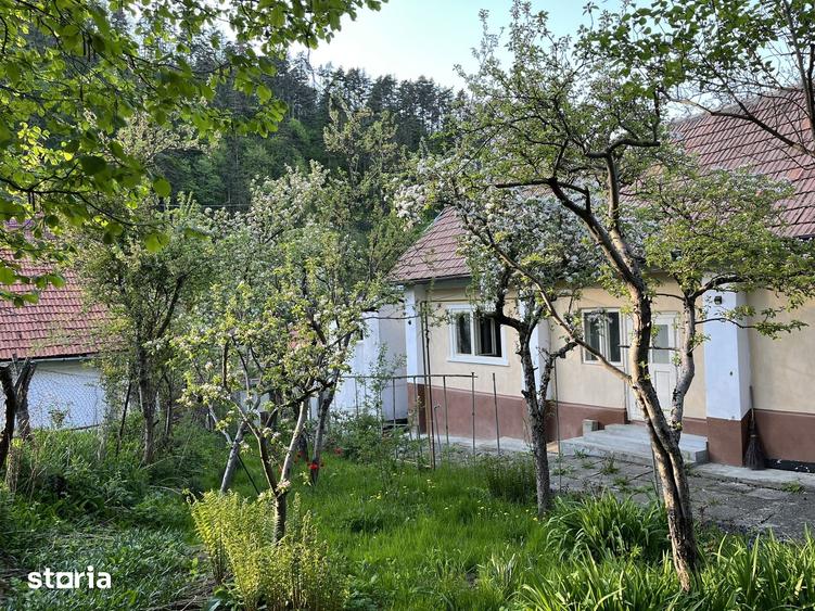 Teren de 707 mp, în Schei