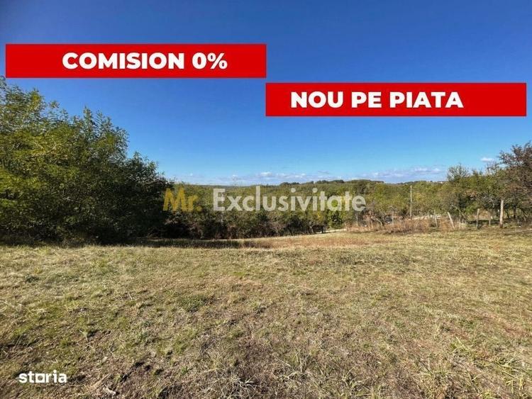 Spațiu comercial, în Lupueni