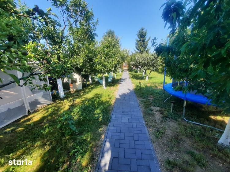 Casa de vacanta teren 5 Ari intravilan Bercu Rosu - Satu Mare - 1