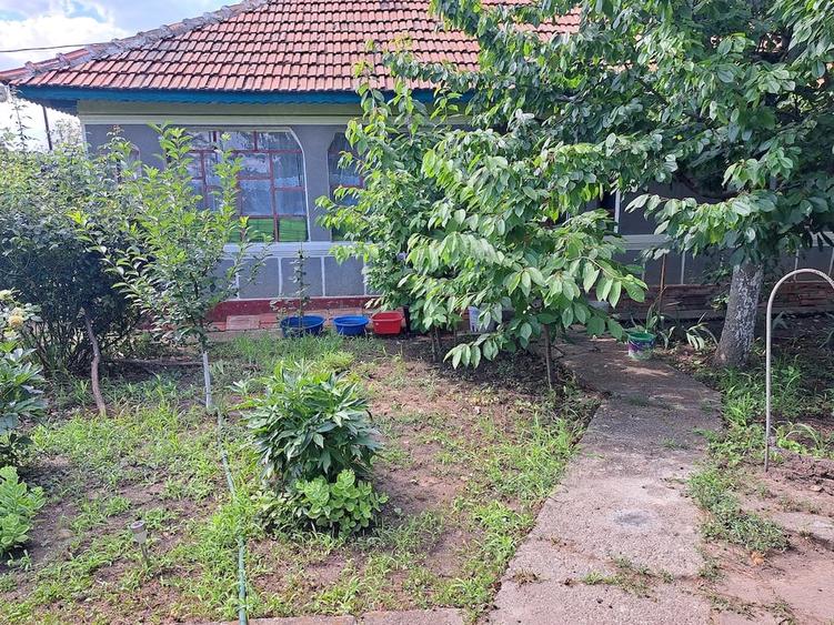 Casă cu 4 camere cu Teren 1280 Mp în Sinești