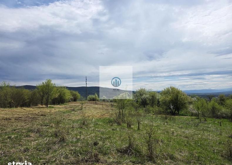 Teren agricol extravilan de 6704 mp, în Hărău