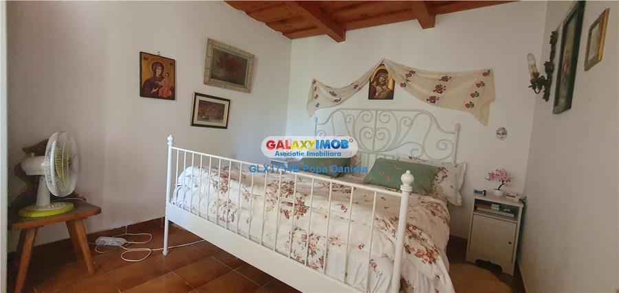 Casă cu 5 camere cu Teren 2400 Mp în Sărulești