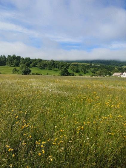 Teren de 26 mp, în Vicovu de Sus