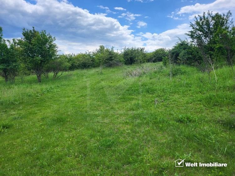 Teren agricol intravilan de 1845 mp, în Someșeni