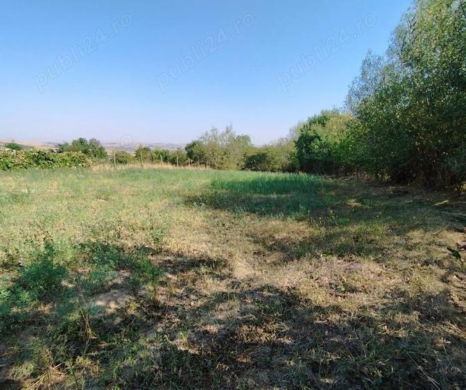 Teren de 1700 mp, în Fălticeni