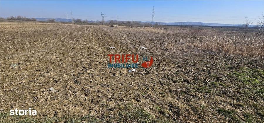 Teren de 6400 mp, în Central