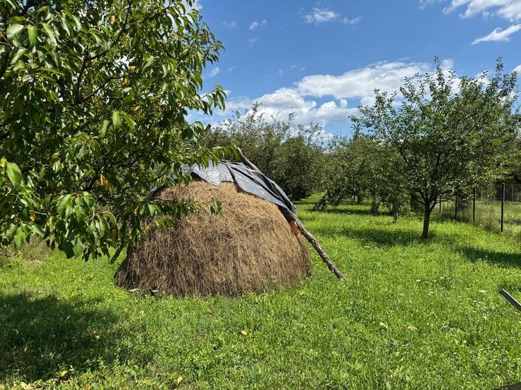 Casă cu 4 camere cu Teren 2224 Mp în Central