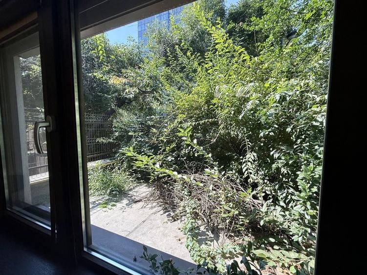 Birou, de 37.209999084473 mp, în Primăverii
