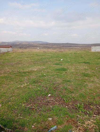 Teren de 3000 mp, în Schela