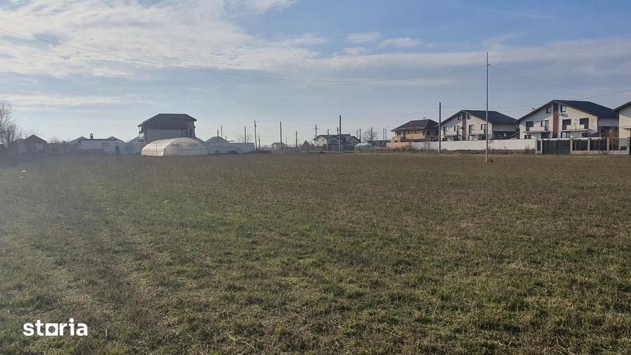 Teren intravilan de vanzare, acces pavat - 2