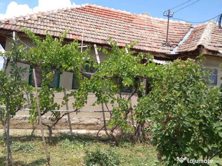 Casă cu 3 camere în Central