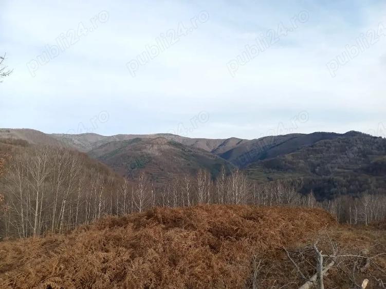 Teren de 10000 mp, în Luncșoara