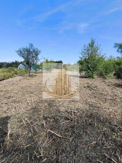 Teren Timisoara 5800mp. Proprietar - 3