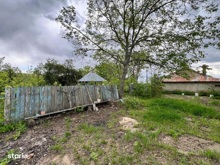Casă cu 4 camere cu Teren 4430 Mp în Tecucelu Sec