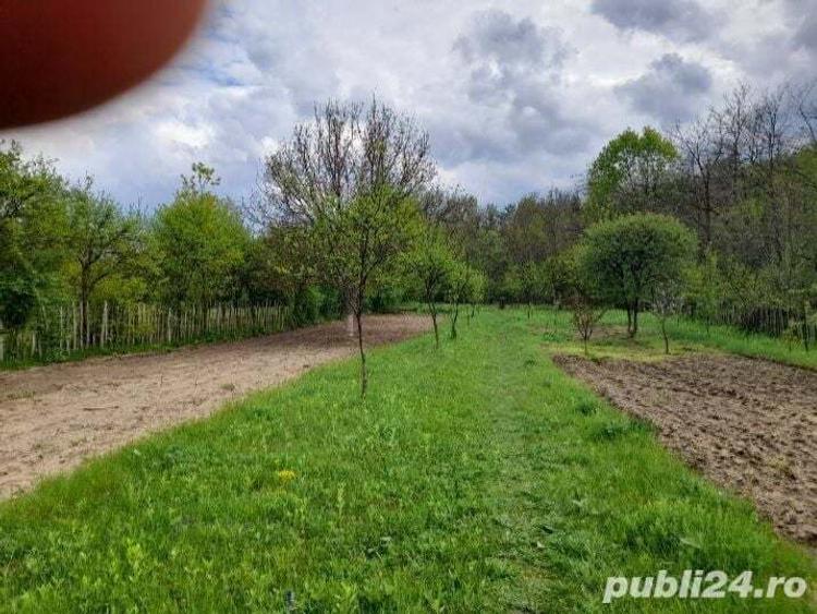 Teren de 2403 mp, în Iedera