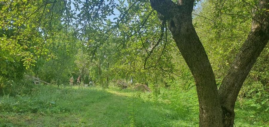 Teren de 4000 mp, în Izvoarele
