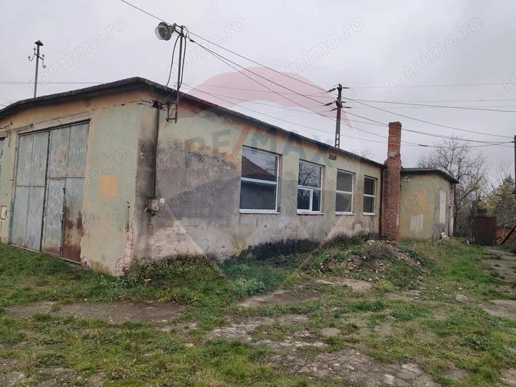 Casă cu 5 camere cu Teren 7531 Mp în Sacu