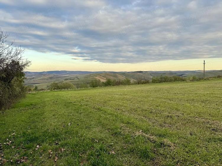 Teren de 14400 mp, în Cojocna