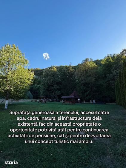 Casă cu Teren 5000 Mp în Șuncuiuș