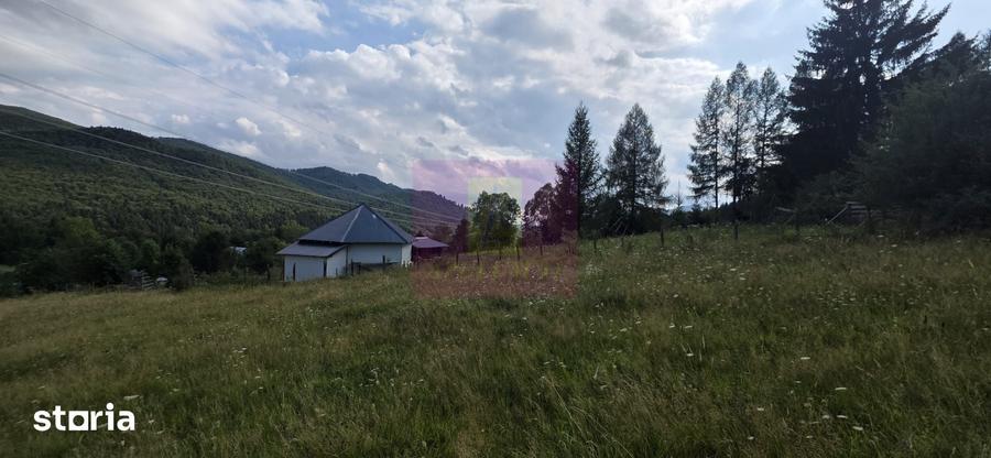 Teren intravilan de vanzare 3500 mp in Valea Doftanei - 5