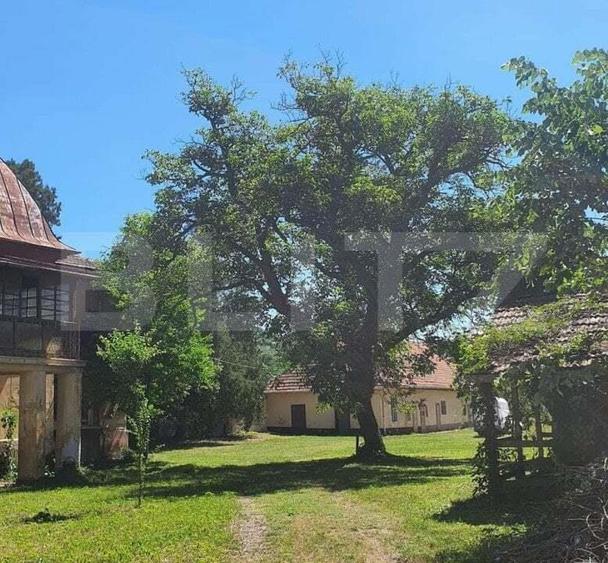 Casă cu 12 camere cu Teren 31300 Mp în Păuliș