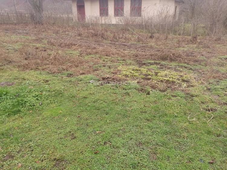 Vand casa in sat Poieni