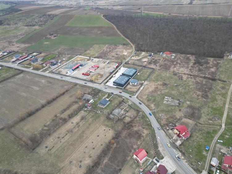 Teren Construcții intravilan de 3500 mp, în Mogoșești