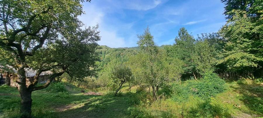 Teren si constructii situate in intravilan 7.780 mp, comuna Bertea, sat Lutu Rosu, Prahova - 7